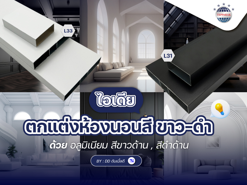 "แต่งบ้านสไตล์โมเดิร์น โทนขาวดำ ด้วยกล่องอลูมิเนียมลายไม้ เเละ กล่องมิเนียมสีขาว-ดำ"