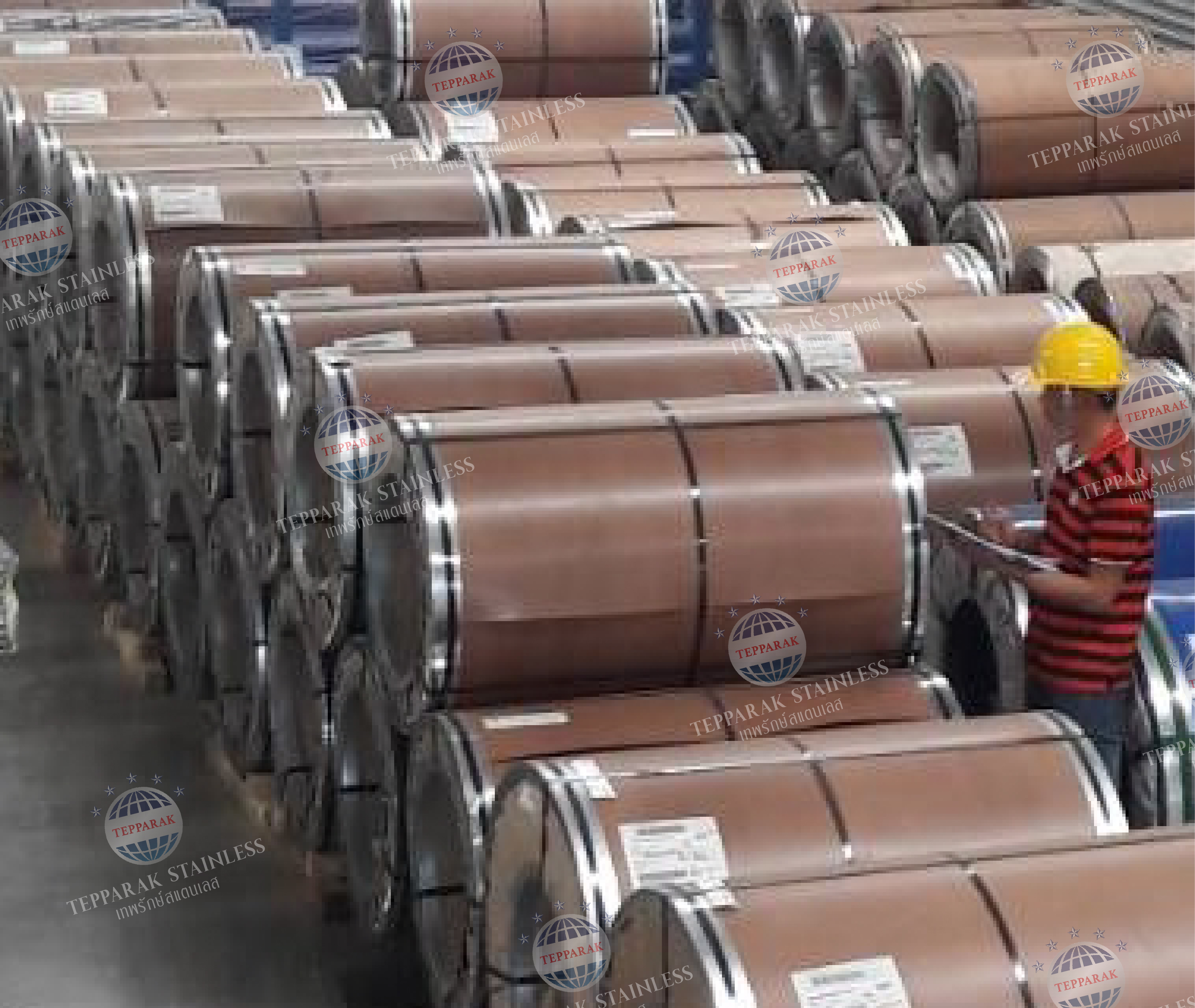 ม้วนคอยล์สแตนเลส Stainless Steel Coil 304 316 430